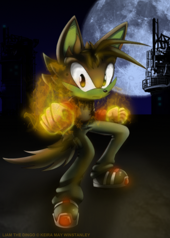 File:LiamTheDingo- Flames.png
