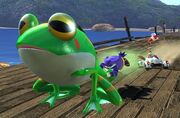 Froggy S&SAR