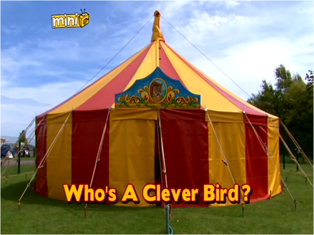 File:Who'saCleverBird?titlecard.png