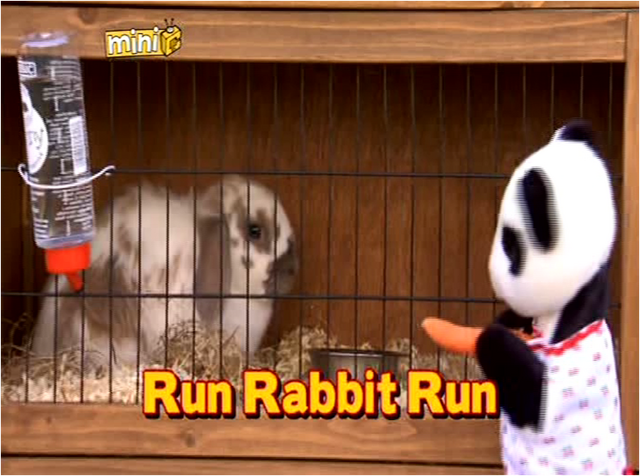 File:RunRabbitRuntitlecard.png