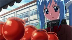 Pomme d'amour