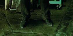 The Pointy Shoes