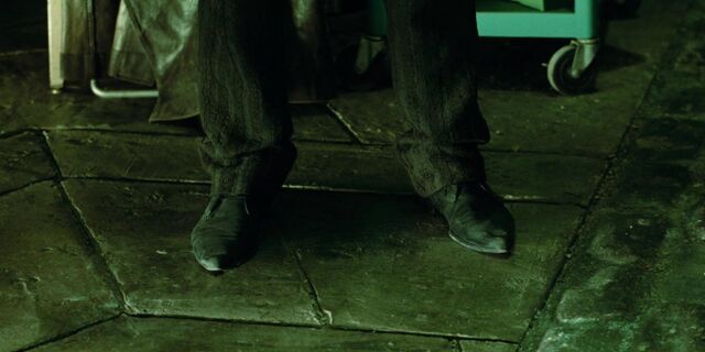File:The Pointy Shoes.jpg