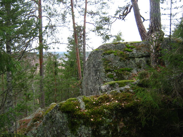 Tiedosto:IMG 4411.jpg