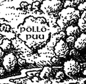 Pollopuu.png