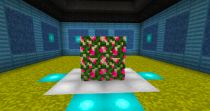 Razzberry Vine