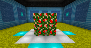 Strawberry Vine