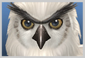 Thumbnail for version as of 20:12, November 16, 2011