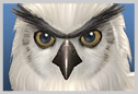 File:Olcadan SClll icon.png