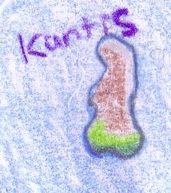 Kantis