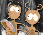 Travis and kelly