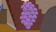 MemberBerries00036
