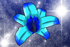Midnight raven s power seed by skittles91000-d4d6fty