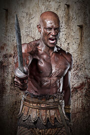 Oenomaus the Gladiator