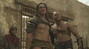 SpartacusGx05 0238.jpg