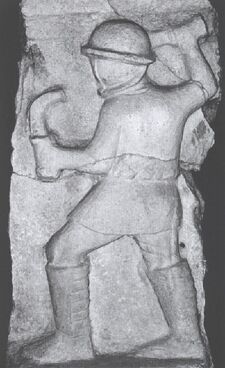 Dimachaerus.jpg