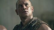 SpartacusGx02 0395.jpg