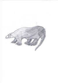 Bunyip
