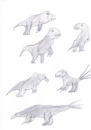 Neoscanisoropterygians