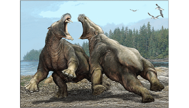 File:Behemotops1.gif