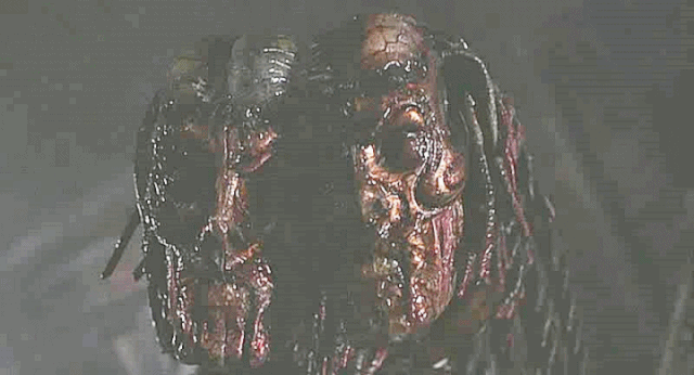 File:2006.gif