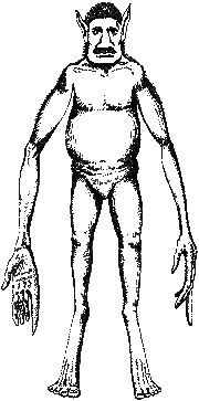 Adult male