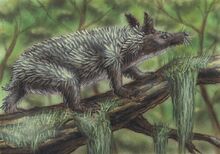 Dendrglr