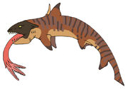 Future shark
