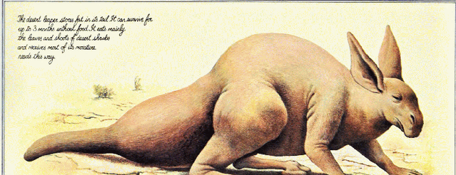 File:Desert leaper fat.gif