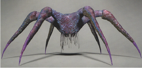 Neocidaris scharzenheggeri