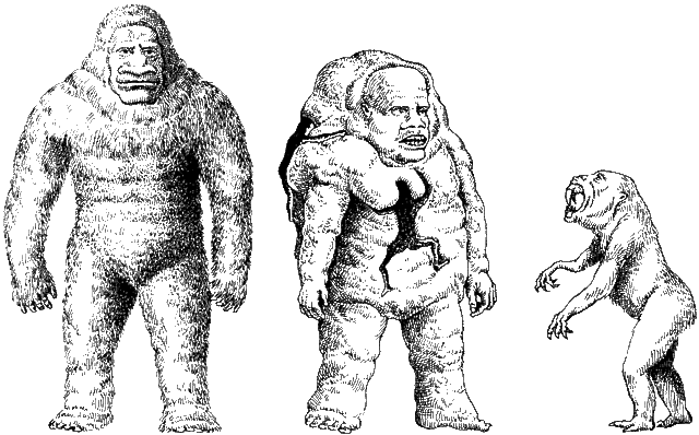 File:Human stock.gif