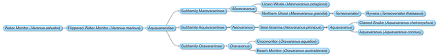 File:New Mosasaurs Relationships.png