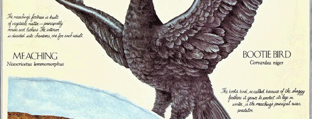 File:Bootie Bird 2.gif