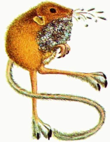 File:S.F.F.jpg