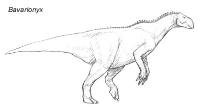 Bavarionyx