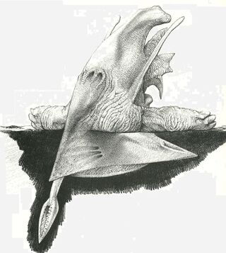 Tundra-Plow