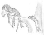 Flightless dimorphodontid