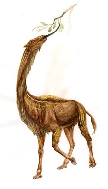 Dolcamel