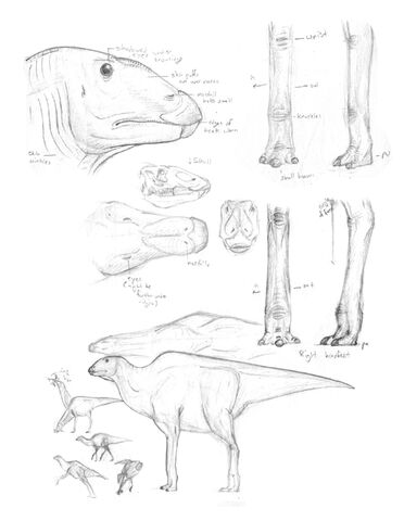 File:Singersketch.jpg