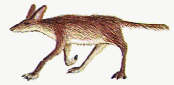 Khilla