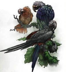Carrion Parrots