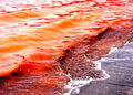 Thumbnail for version as of 09:58, August 2, 2013