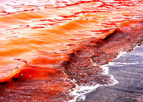 File:Iron oceans.jpg