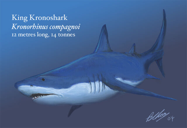 File:Kronoshark1.jpg