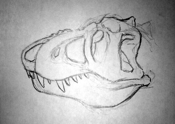 New Probactyrannus gracilis