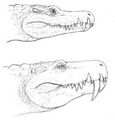 Thumbnail for version as of 17:49, October 19, 2013