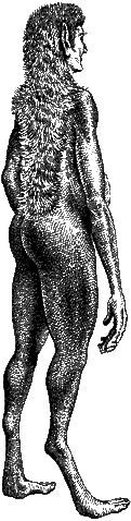 File:Plains-Dweller backside.gif
