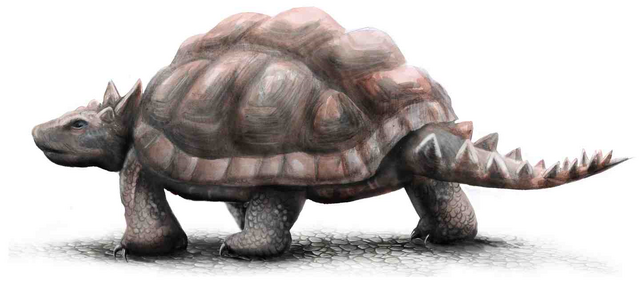 File:Meiolania turtle.png