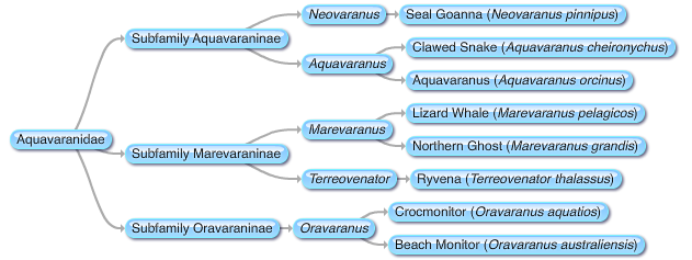 File:New Mosasaurs .png