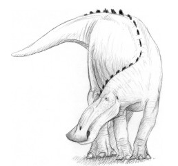 File:Villepampasaurus.jpg